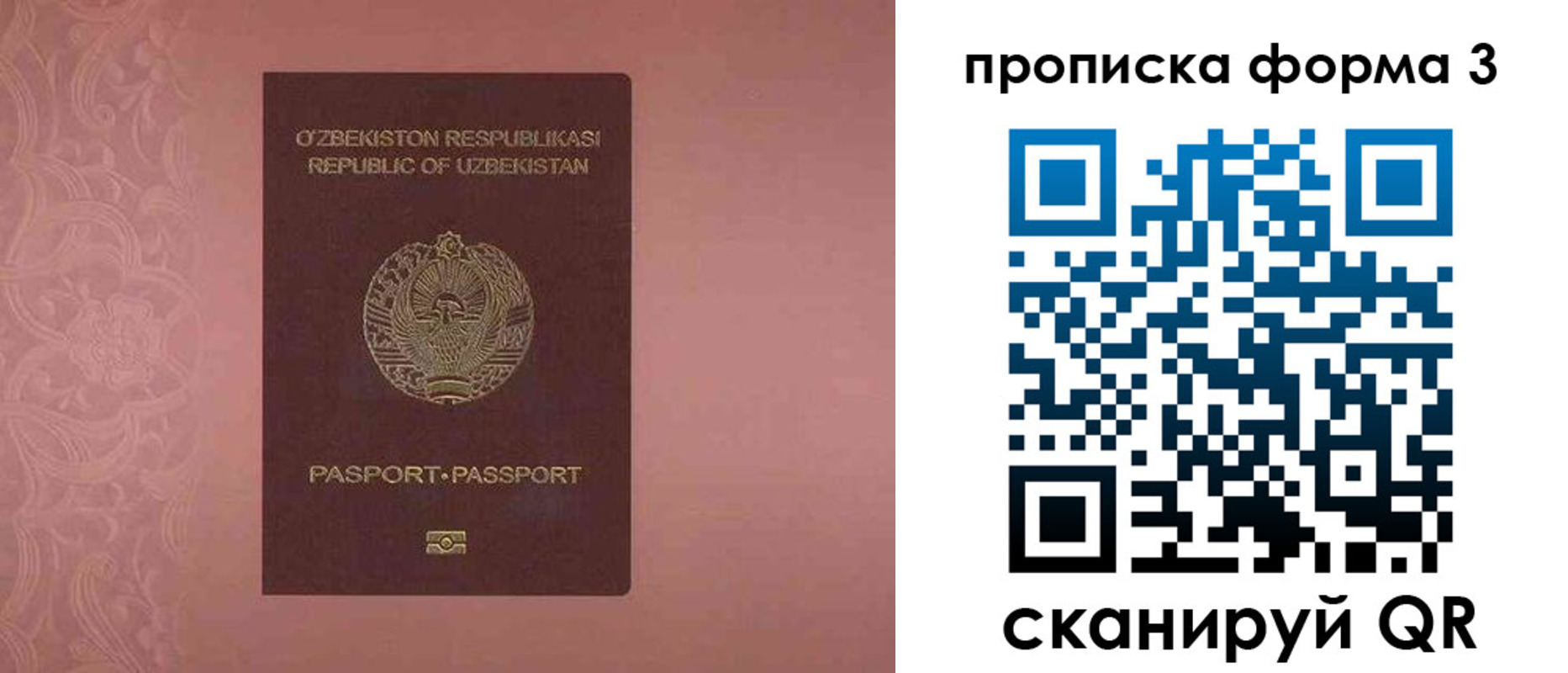 регистрация в Полярных Зорях